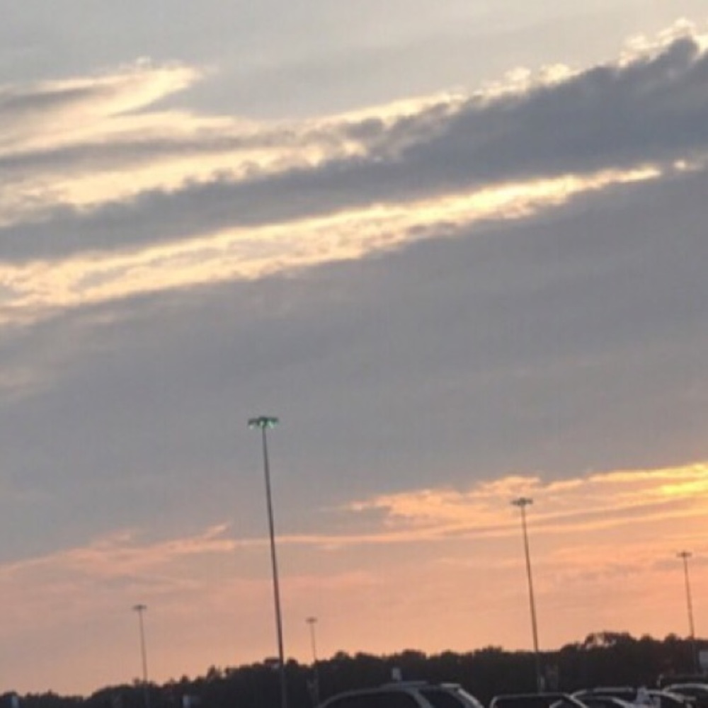 Meet your Posher, Savannah